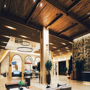 Dream-Like - Chill Lounge Vibes