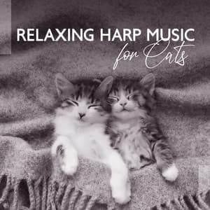 Relaxing Harp Ethereal Cats - Li Pash
