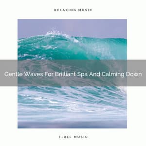 Gentle Waves For Brilliant Spa And Calming Down - Instant Relax