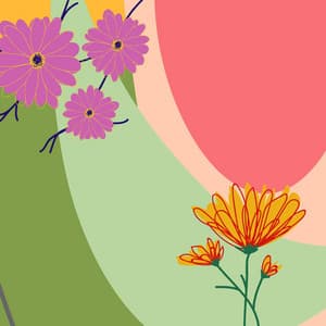 Latin Trumpet - Ambiance for Winding Down Acoustics - Hotel Jazz