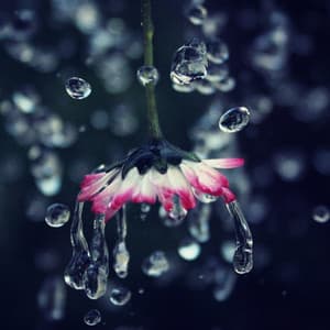 Mystic Mornings: Chill Music Rain Dawn - Contemporary Christian Music
