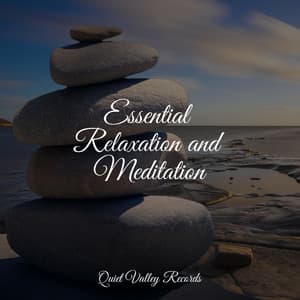 Essential Relaxation and Meditation - Ambient Arena