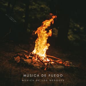 Música De Fuego: Música De Los Bosques - Tormenta Solar