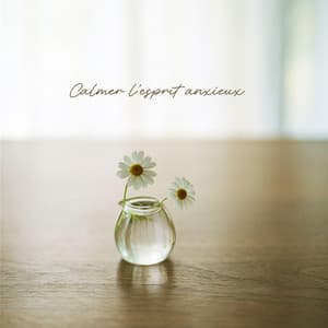 Calmer l'esprit anxieux - Relaxation mentale