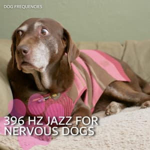 396 Hz Jazz for Nervous Dogs - Dog Frequencies