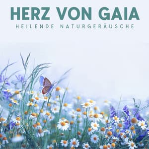 Herz von Gaia: Heilende Naturgeräusche und Sanfte Melodien für Meditation, Yoga, Spa und Entspannung - Naturgeräusche Meditationsmusik