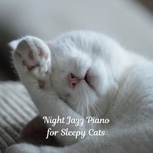 Night Jazz Piano for Sleepy Cats - Quiet Jazz Coffee House