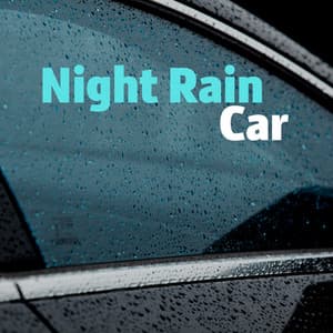 Night Rain: Car - Sound of Nature Library