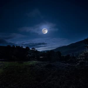 Dreamtime Harmonies: Soft Sounds for a Quiet Night - Brainwave Mind Voyages