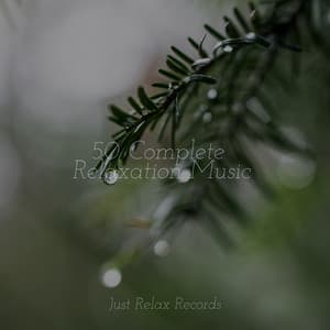 50 Complete Relaxation Music - Sonidos De Lluvia y Tormentas