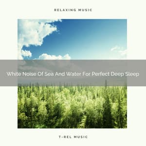 White Noise Of Sea And Water For Perfect Deep Sleep - Sleep Dimension