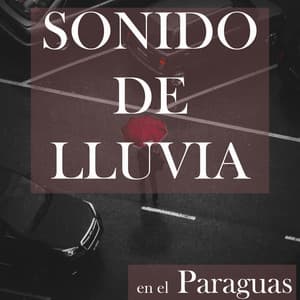 Sonido de Lluvia en el Paraguas - Sonidos Relajantes de la Naturaleza by Beneluxa