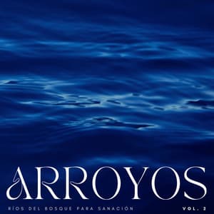 Arroyos: Ríos Del Bosque Para Sanación Vol. 2 - Sonidos del río
