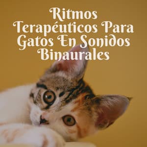 Ritmos Terapéuticos Para Gatos En Sonidos Binaurales - Estados de ánimo binaurales