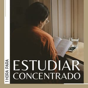 1 Hora para Estudiar Concentrado: Ondas Alfa para Activar el Cerebro y Sonidos Binaurales de Concentración - Serenidad Alvez