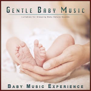 Gentle Baby Music: Lullabies for Sleeping Baby Nature Sounds - Baby Music Experience