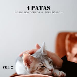 4 Patas: Massagem Corporal Terapêutica, Vol. 2 - Música Relax para Cafe