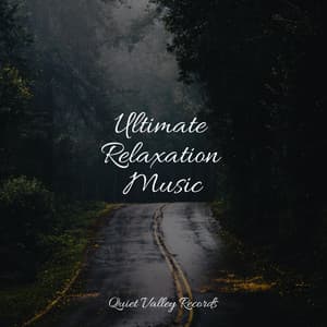 Ultimate Relaxation Music - Academia de Musica para Massagem Relaxamento