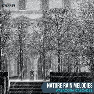Nature Rain Melodies - Wasacona Cascades - The Rain Library