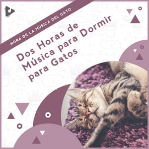 2 Horas de Música para Dormir para Gatos - Hora de la Música del Gato