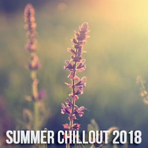 Summer Chill Out 2018 - Chill Out Lounge Cafe Essentials