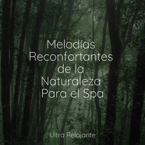 Melodías Reconfortantes de la Naturaleza Para el Spa - Sonidos de la Naturaleza