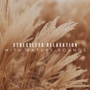 Stressless Repose with Elemental Harmony - Nikitovich