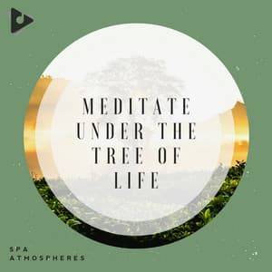 Meditate Under The Tree Of Life - Asian Zen Spa Music Meditation