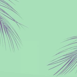 Bossa Nova Piano Duo - Bgm for Sure Visions - Quiet Jazz Cafe