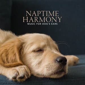 Naptime Harmony - Music for Dog's Ears