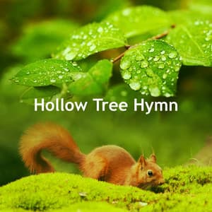 Hollow Tree Hymn - Nature Sounds for Relaxation and Sleep
