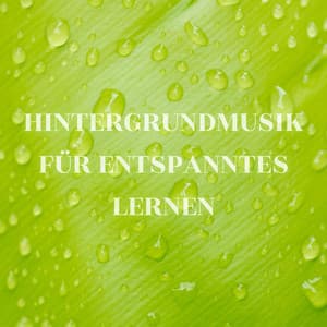 Hintergrundmusik für entspanntes Lernen - Lernmusik