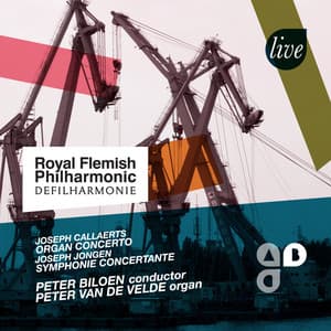 Organ Concertos - Peter Van de Velde