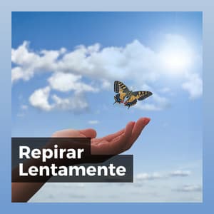 Repirar Lentamente - Musica de Relajacion Espace