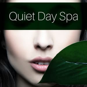 Quiet Day Spa: Relaxation Massage, Body Treatments, Remedial Therapy - Asian Spa Center