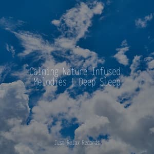 Calming Nature Infused Melodies | Deep Sleep - Lullabyes