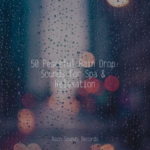 50 Peaceful Rain Drop Sounds for Spa & Relaxation - Ambient