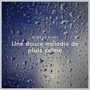 Sons de pluie: Une douce mélodie de pluie calme - Sons De Pluie