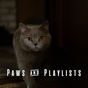 Paws & Playlists: Cat-friendly Jazz Lounge - Relaxing Morning Jazz Playlist