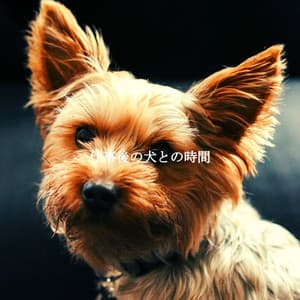 仕事後の犬との時間 - Entspannte Jazz Musik