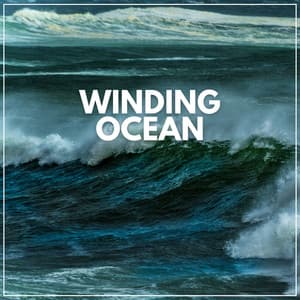 Winding Ocean - Calm Sea Sounds