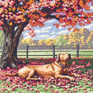 爪印情谊: 庆祝您的狗狗伴侣 - Some Dog Music