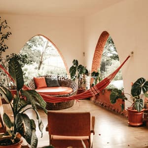 開花のメドレー - Cafe Jazz Tokyo