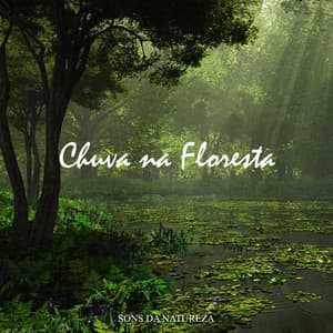 Sons da Natureza: Chuva na Floresta - Chuva Para Dormir