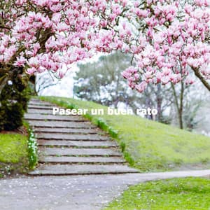 Pasear un buen rato - Chillout Jazz