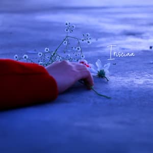 Let the Silence Keep You - Irisciaa