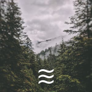 Nature Sleeping Sounds of Forest for Being Calm - Healing Nature Sounds