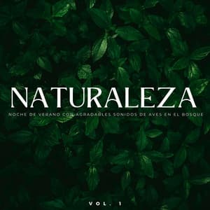 Naturaleza: Noche De Verano Con Agradables Sonidos De Aves En El Bosque Vol. 1 - Sonidos De Aves