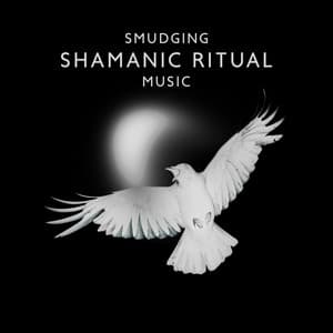 Smudging Shamanic Ritual Music - World Travel Unit
