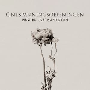 Ontspanningsoefeningen - Ontspanning Muziek Club